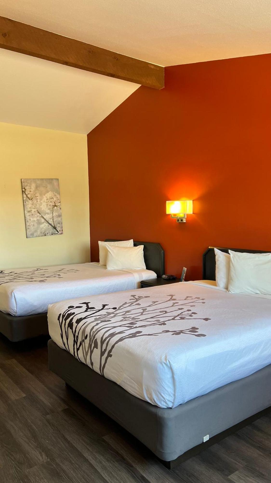 Black Canyon Motel Montrose Zewnętrze zdjęcie