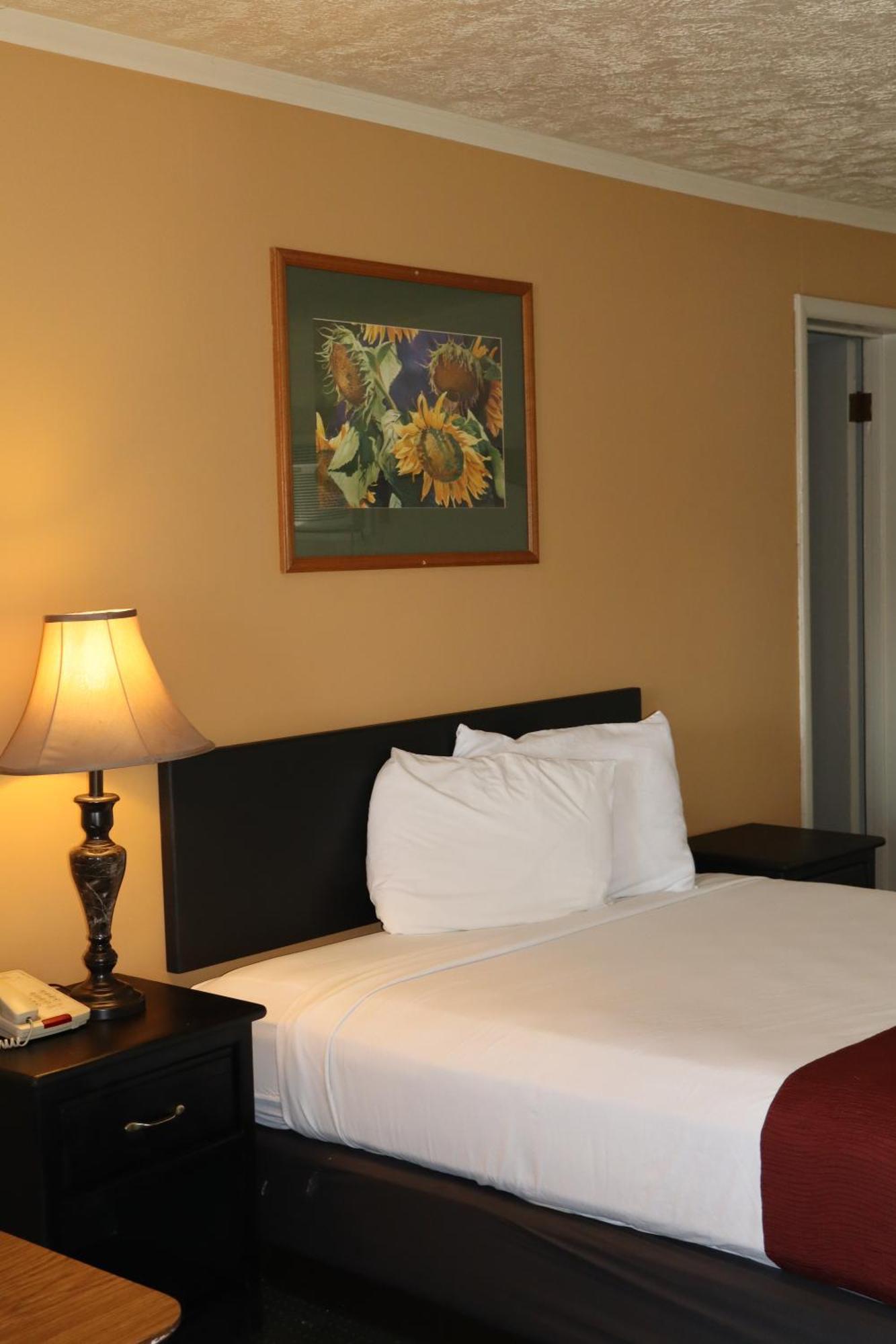 Black Canyon Motel Montrose Zewnętrze zdjęcie